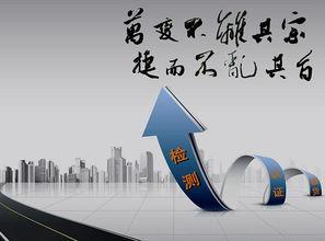 玩(wan)具(ju)出(chu)口檢測服(fu)務 高(gao)清(qing)圖(tu)片(pian)展(zhan)示與技術咨(zi)詢指(zhi)南