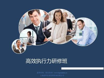 打造壹(yi)流的(de)高(gao)效(xiao)執行(xing)力技(ji)術咨(zi)詢