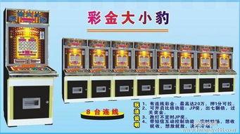 2013爆(bao)款(kuan)彩金(jin)大(da)小豹(bao)遊(you)戲機(ji) 連線機(ji)價(jia)格解析(xi)與番(fan)禺(yu)廠(chang)家選(xuan)購指南